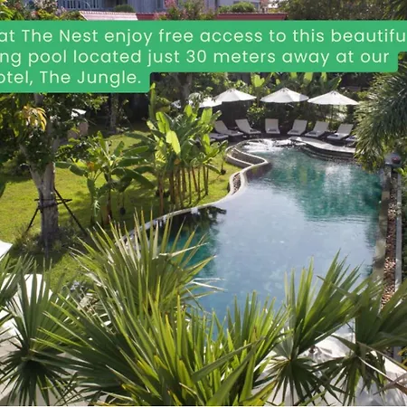 The Nest Bed & Breakfast